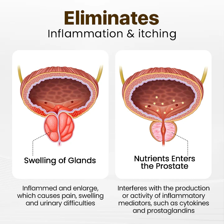 LEFUN™ ProstaPower Bee Inhalation Stick 9 LEFUN™ ProstaPower Bee Inhalation Stick