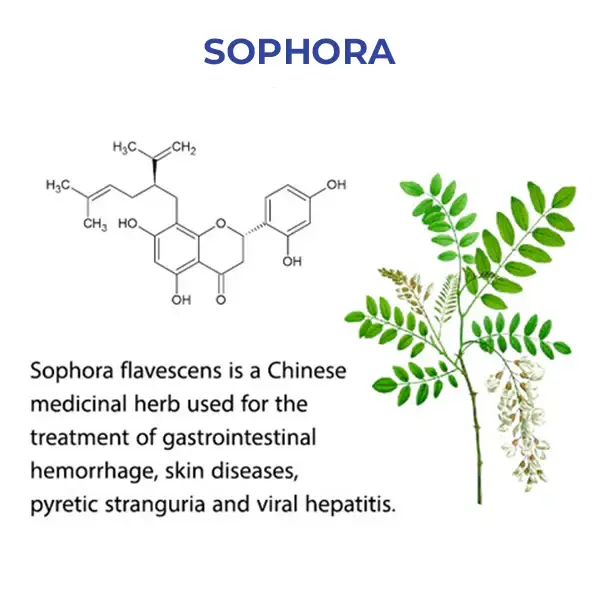 Winter Sale Fivfivgo™ WipeOff Tags & Maulwurfsentferner 8 Fivfivgo™ WipeOff Tags & Maulwurfsentferner