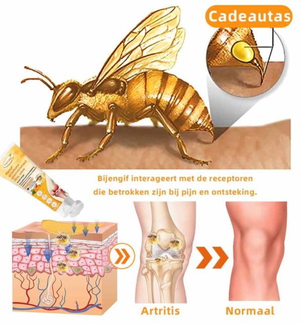 FATONG™ - 100% EFFECTIVE SOLUTION AGAINST JOINT PAIN