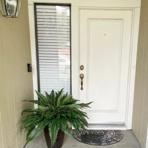UV Resistant Lifelike Artificial Boston Fern