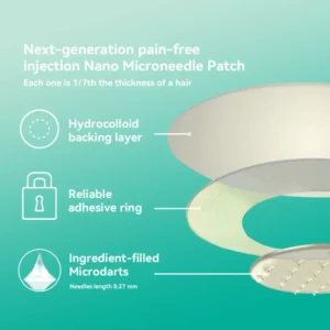FATONG SMGT-GLP-1 Nano Microneedle Patch