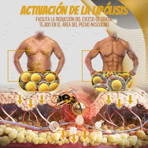 ActivaciondelalipolisisFacilitalareducciondelexcesodegrasa.tejidoenelareadelpechomasculino 1